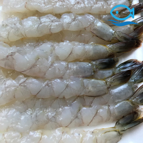 바다더해 노바시새우 특대 20미 일식 튀김용 새우튀김 손질새우