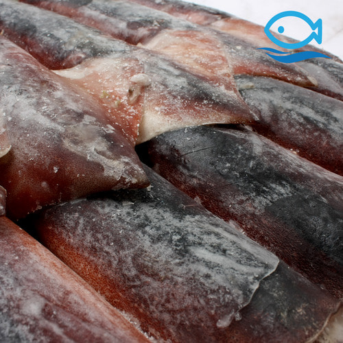 국내산 동해 선동오징어 대 8.5kg 냉동오징어
